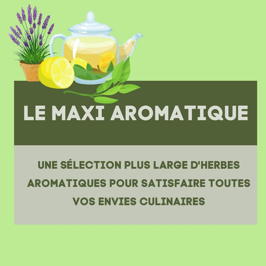Le Maxi aromatique